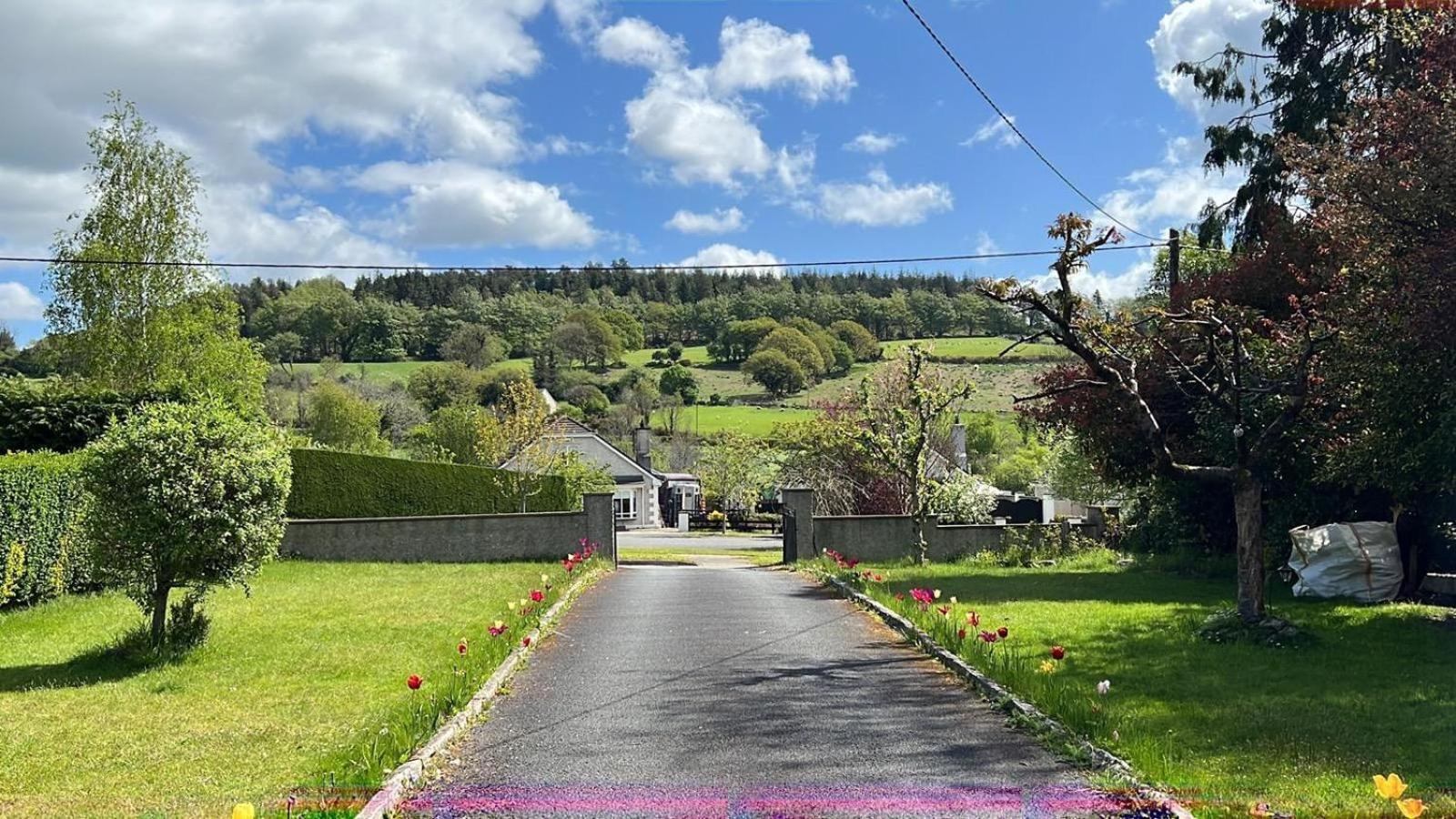Avonbeg Cottages 2 Bed 1 Bath Accommodate 3 Guests ラスドラム エクステリア 写真